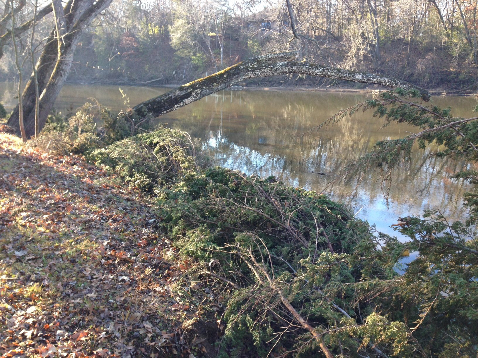 View of the Anderson Riverbank Stabilization project.